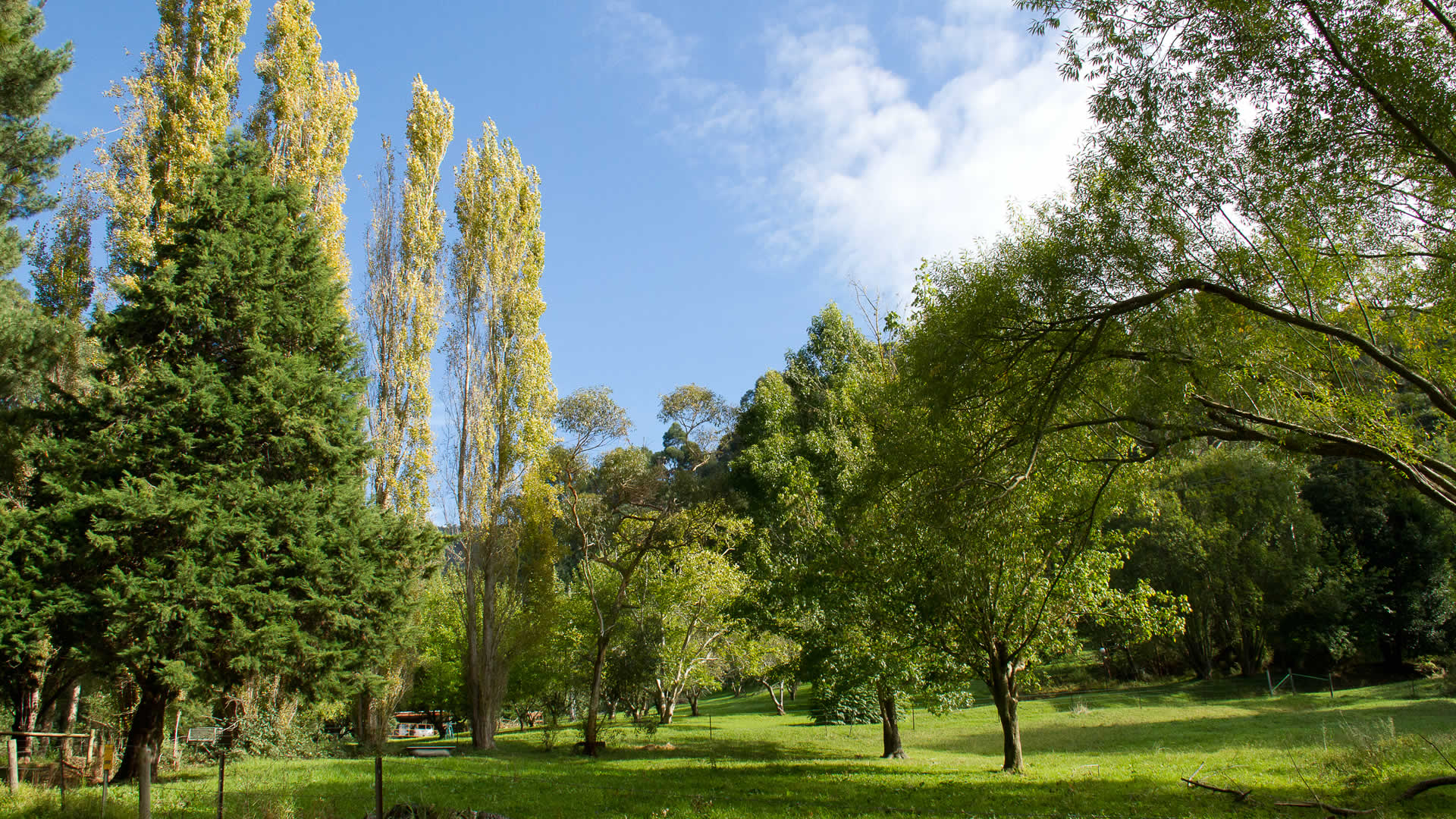 Image result for pallotti college millgrove victoria